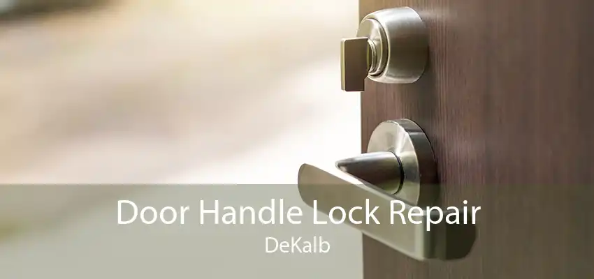 Door Handle Lock Repair DeKalb