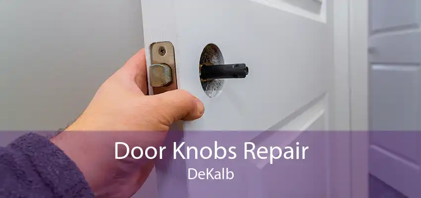 Door Knobs Repair DeKalb