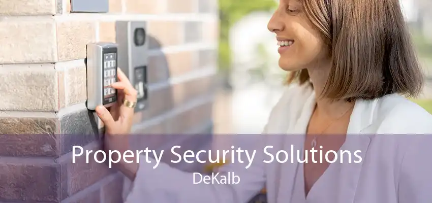 Property Security Solutions DeKalb