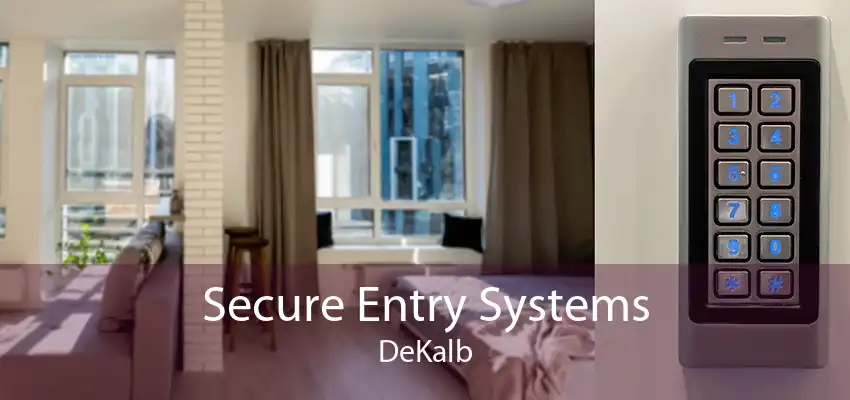 Secure Entry Systems DeKalb