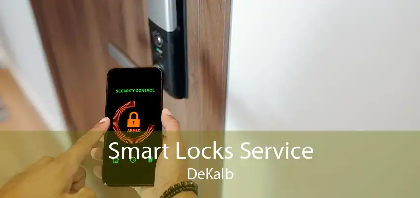 Smart Locks Service DeKalb